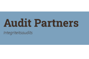 Audit Partners